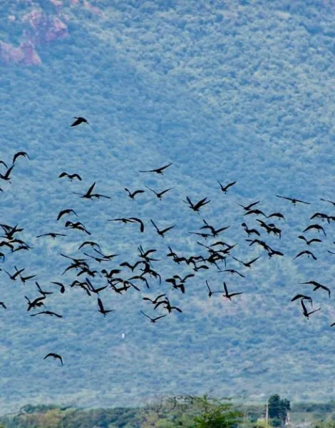 image_683f172a3b89c1.72964647-1